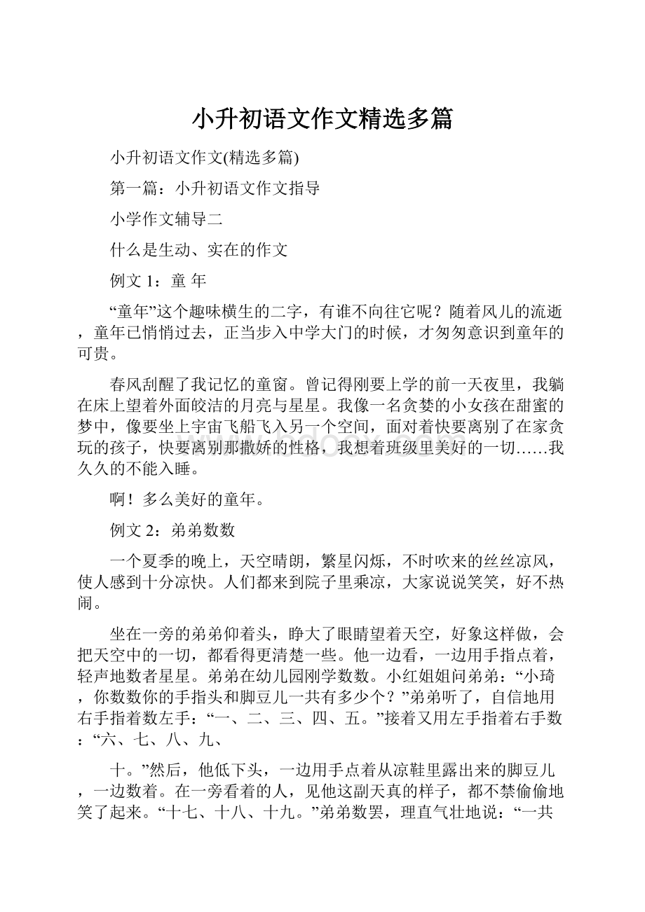 小升初语文作文精选多篇.docx