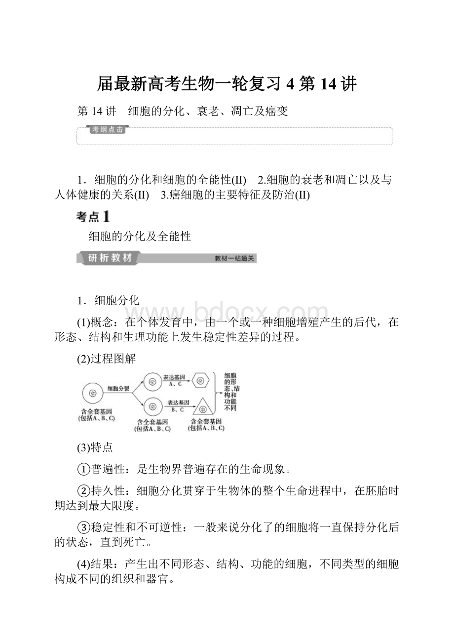 届最新高考生物一轮复习4 第14讲.docx