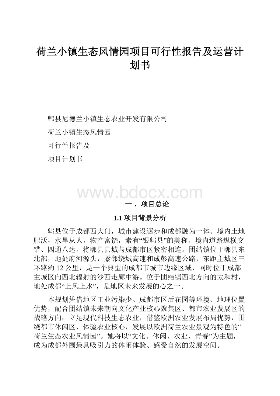 荷兰小镇生态风情园项目可行性报告及运营计划书.docx_第1页