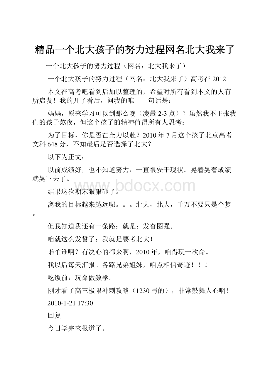 精品一个北大孩子的努力过程网名北大我来了.docx