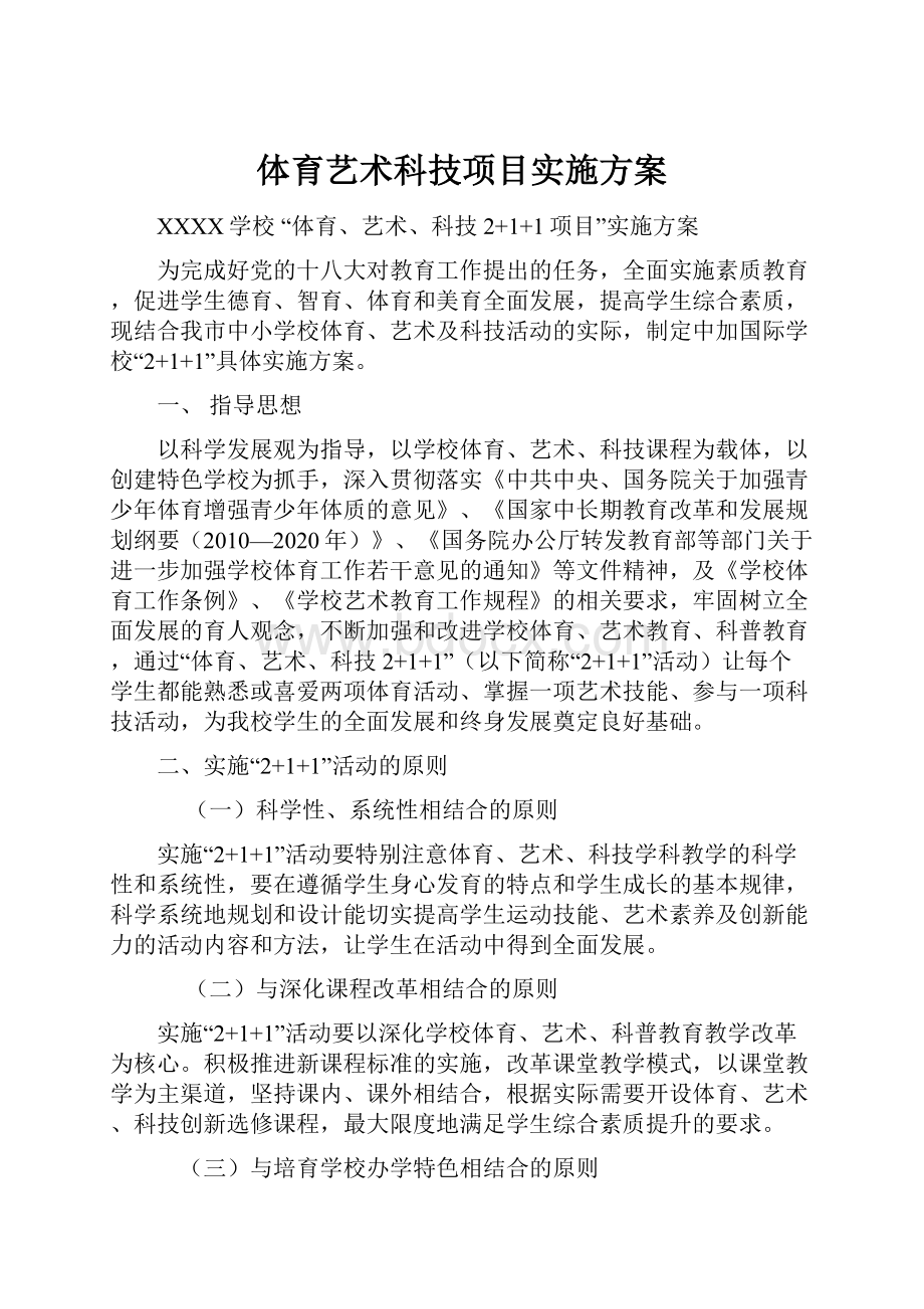 体育艺术科技项目实施方案.docx