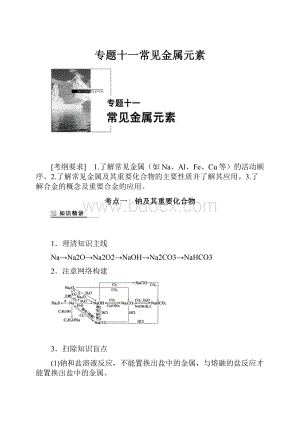 专题十一常见金属元素.docx