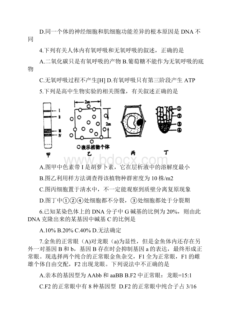 泰州中学高三下学期期初考试生物试题含答案.docx_第2页