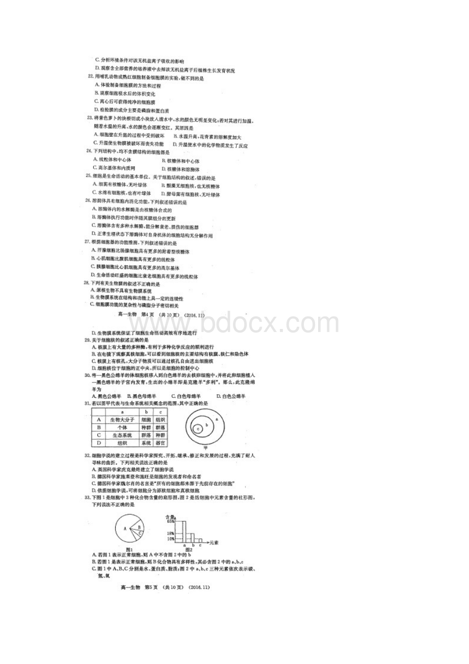 洛阳市学年高一上学期期中考试生物试题扫描版 含答案.docx_第3页