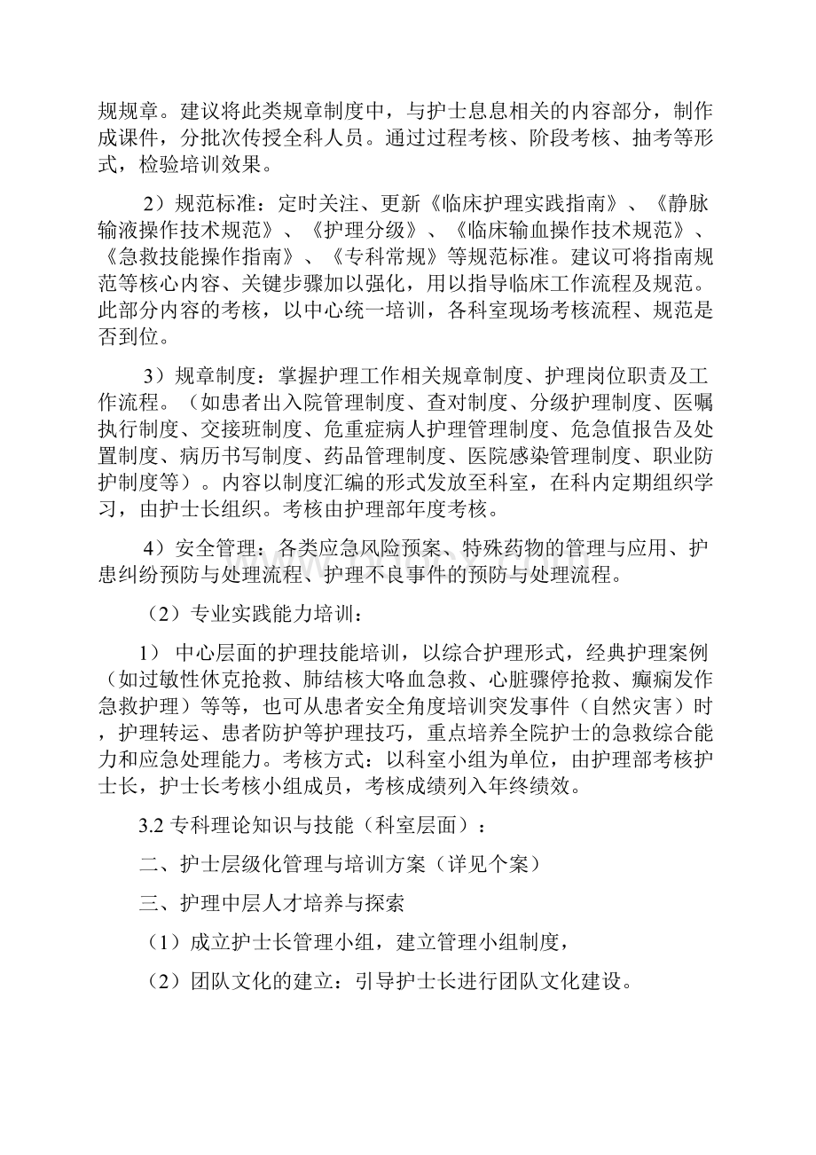 护理人才队伍建设规划.docx_第2页