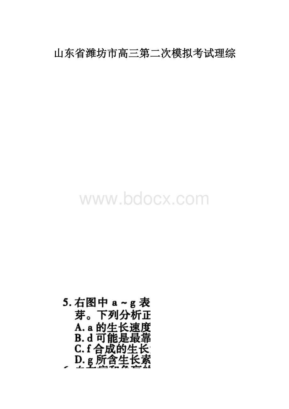 山东省潍坊市高三第二次模拟考试理综.docx