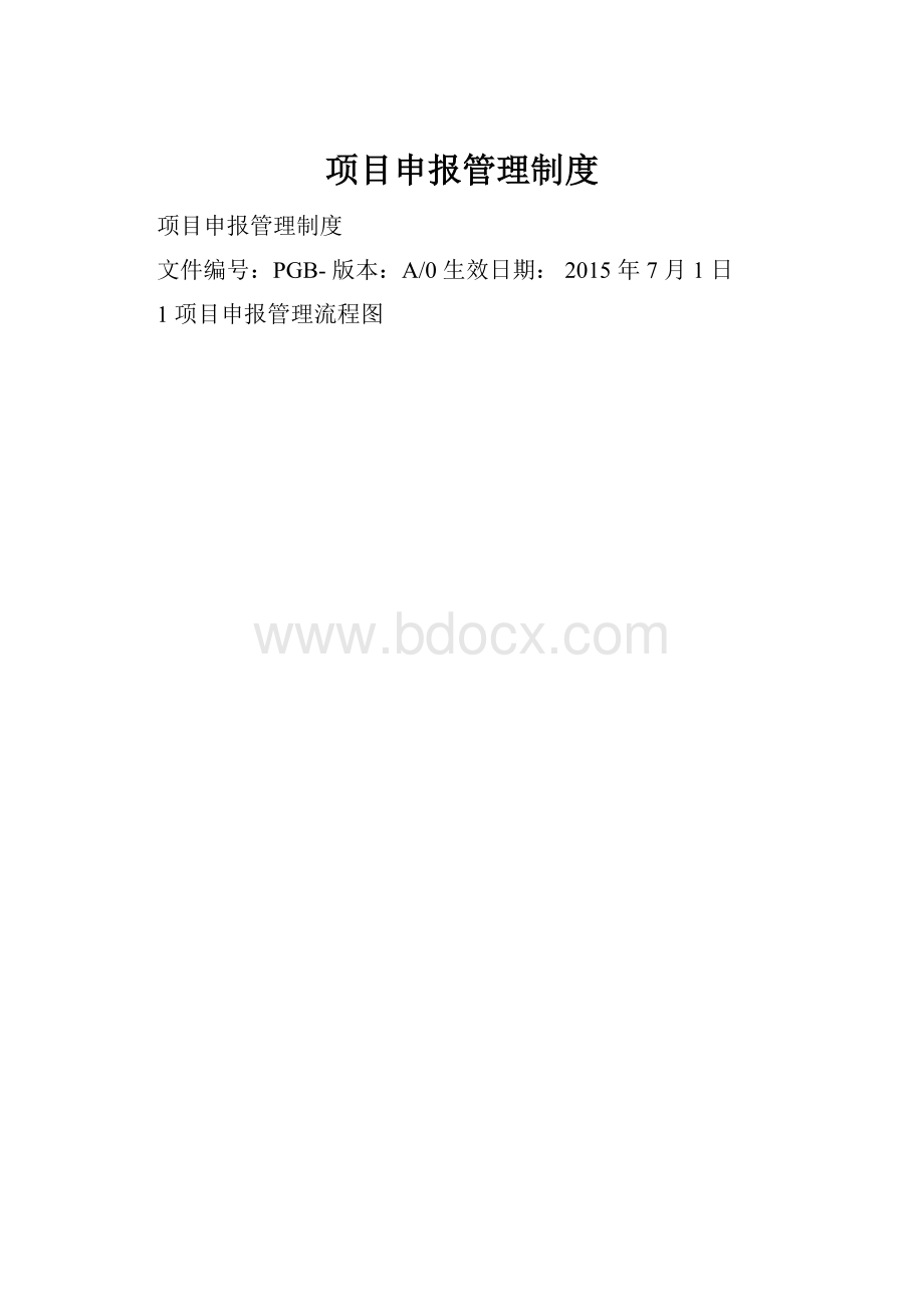 项目申报管理制度.docx