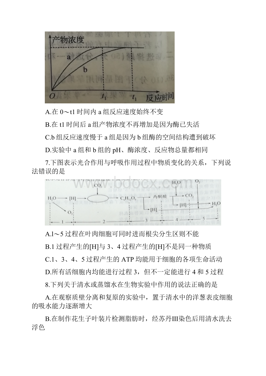 学年湖北省黄冈市高二下学期期末考试生物试题Word版.docx_第3页