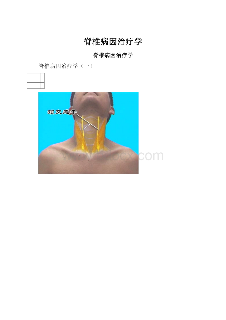 脊椎病因治疗学.docx_第1页