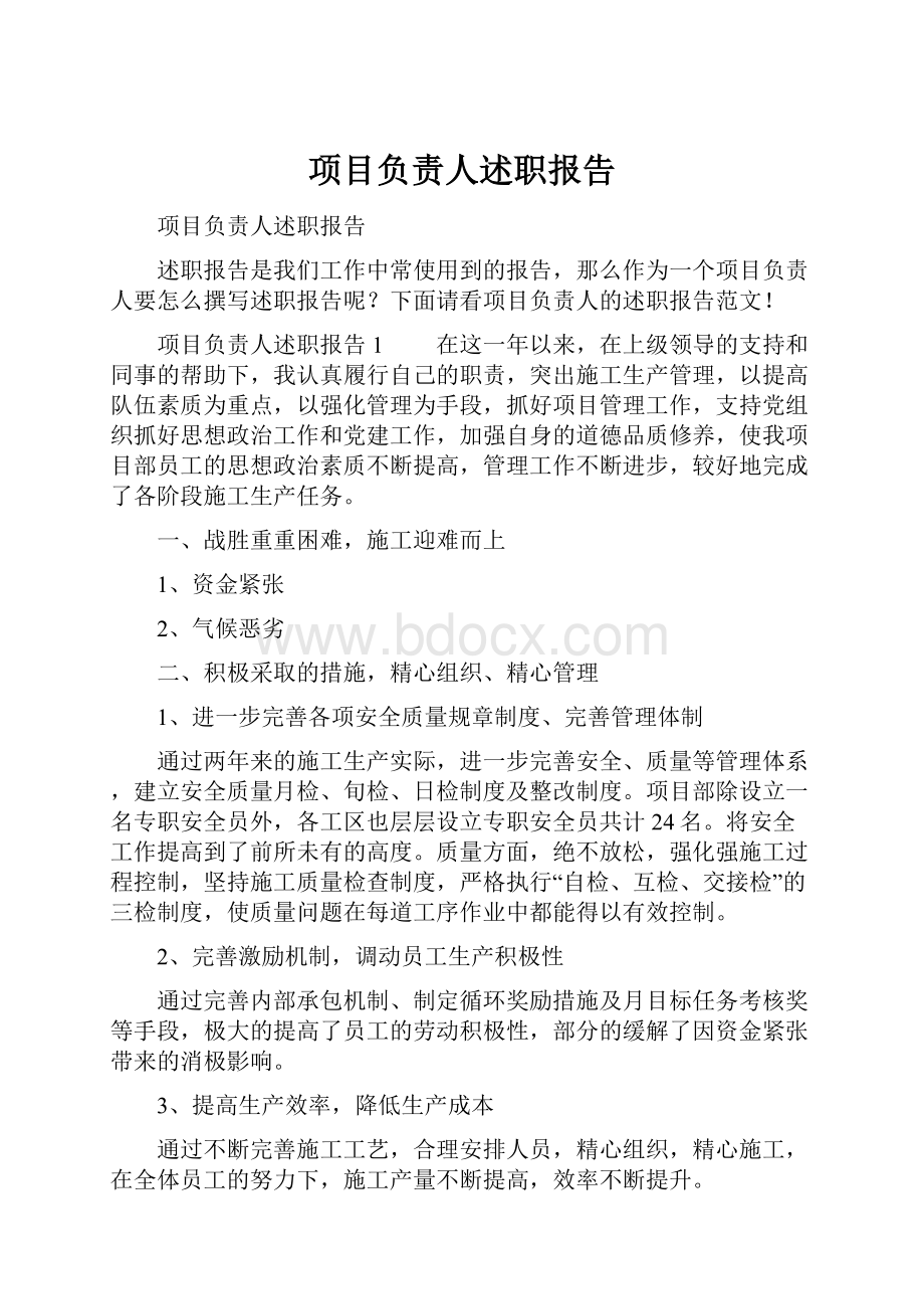 项目负责人述职报告.docx