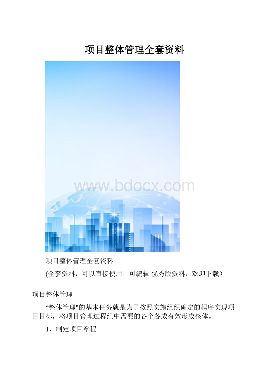 项目整体管理全套资料.docx