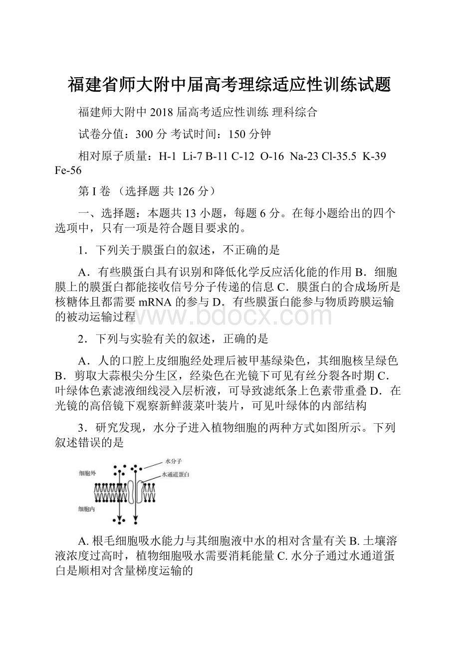 福建省师大附中届高考理综适应性训练试题.docx