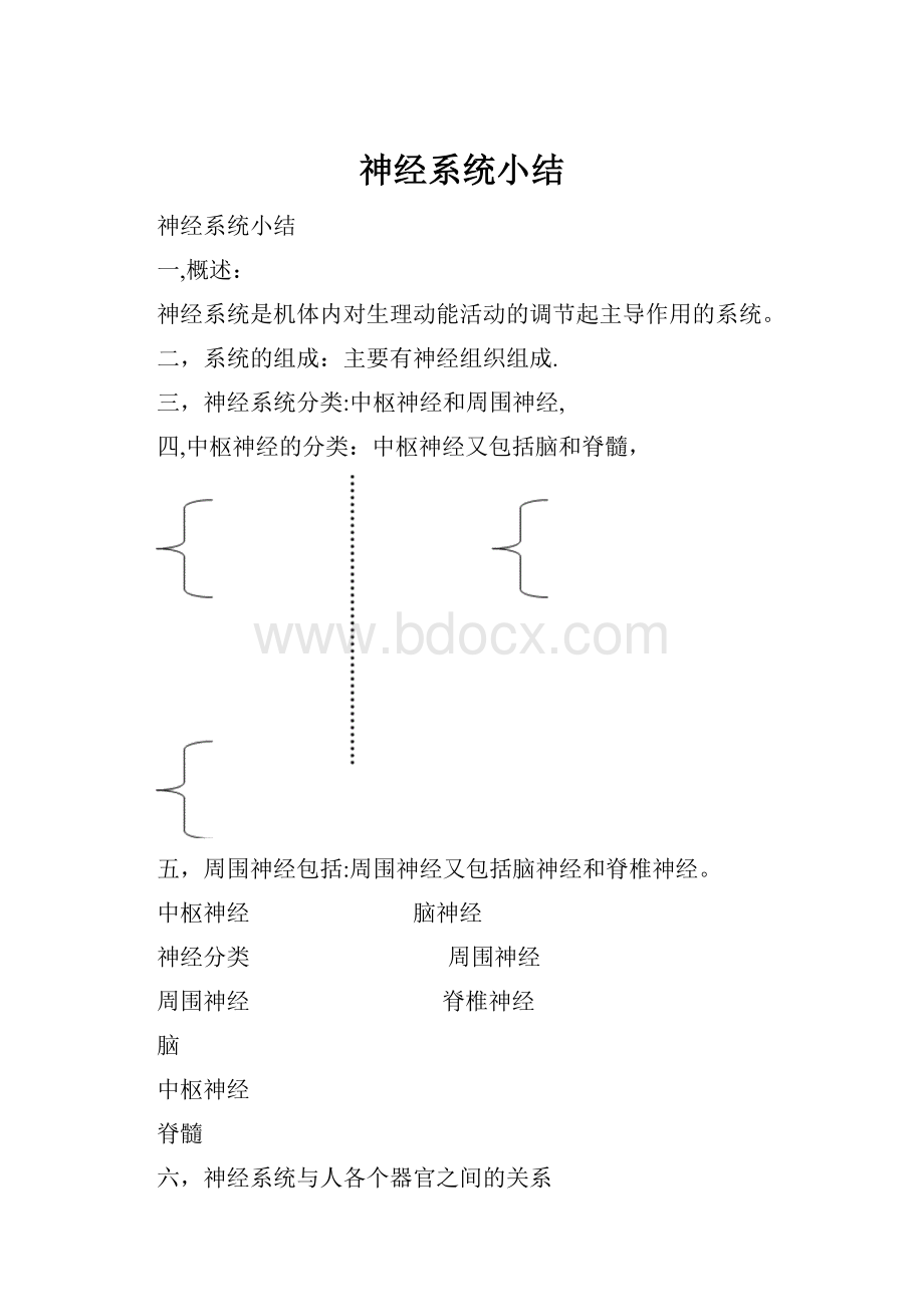 神经系统小结.docx_第1页