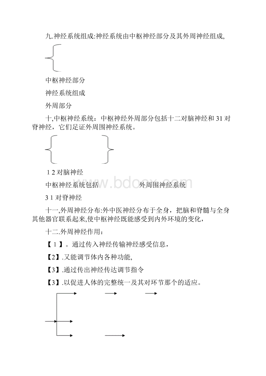 神经系统小结.docx_第3页