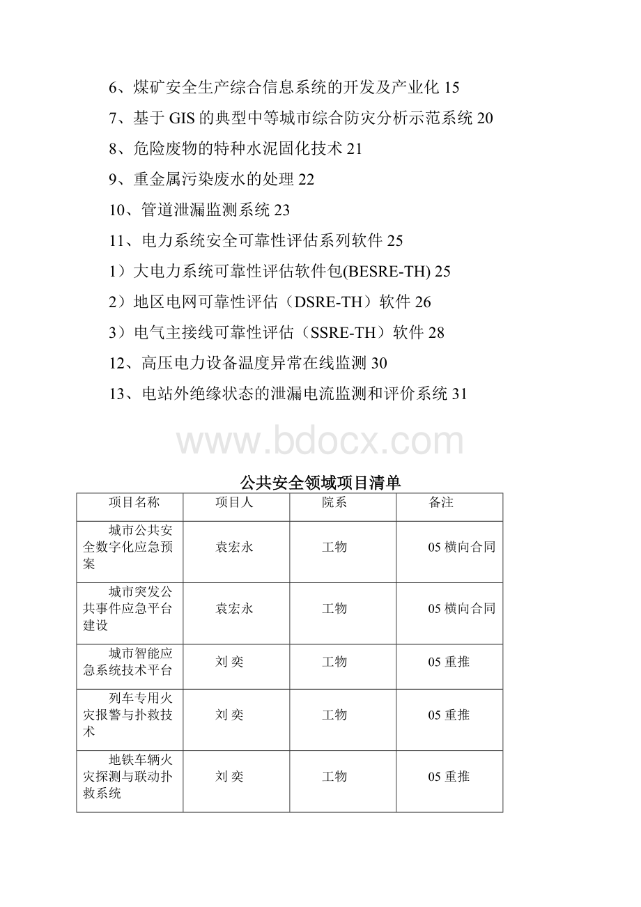 公共安全领域.docx_第2页