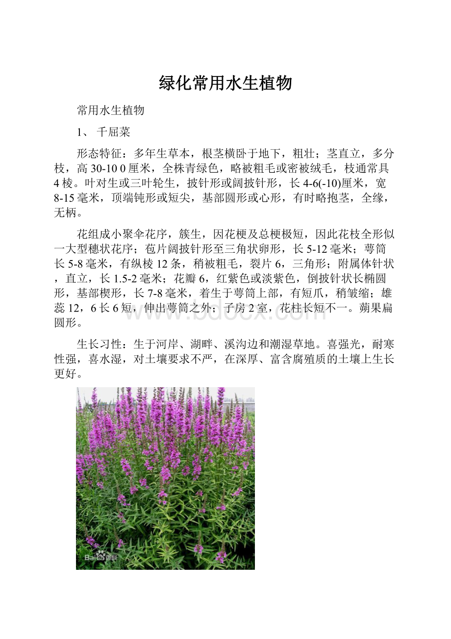 绿化常用水生植物.docx