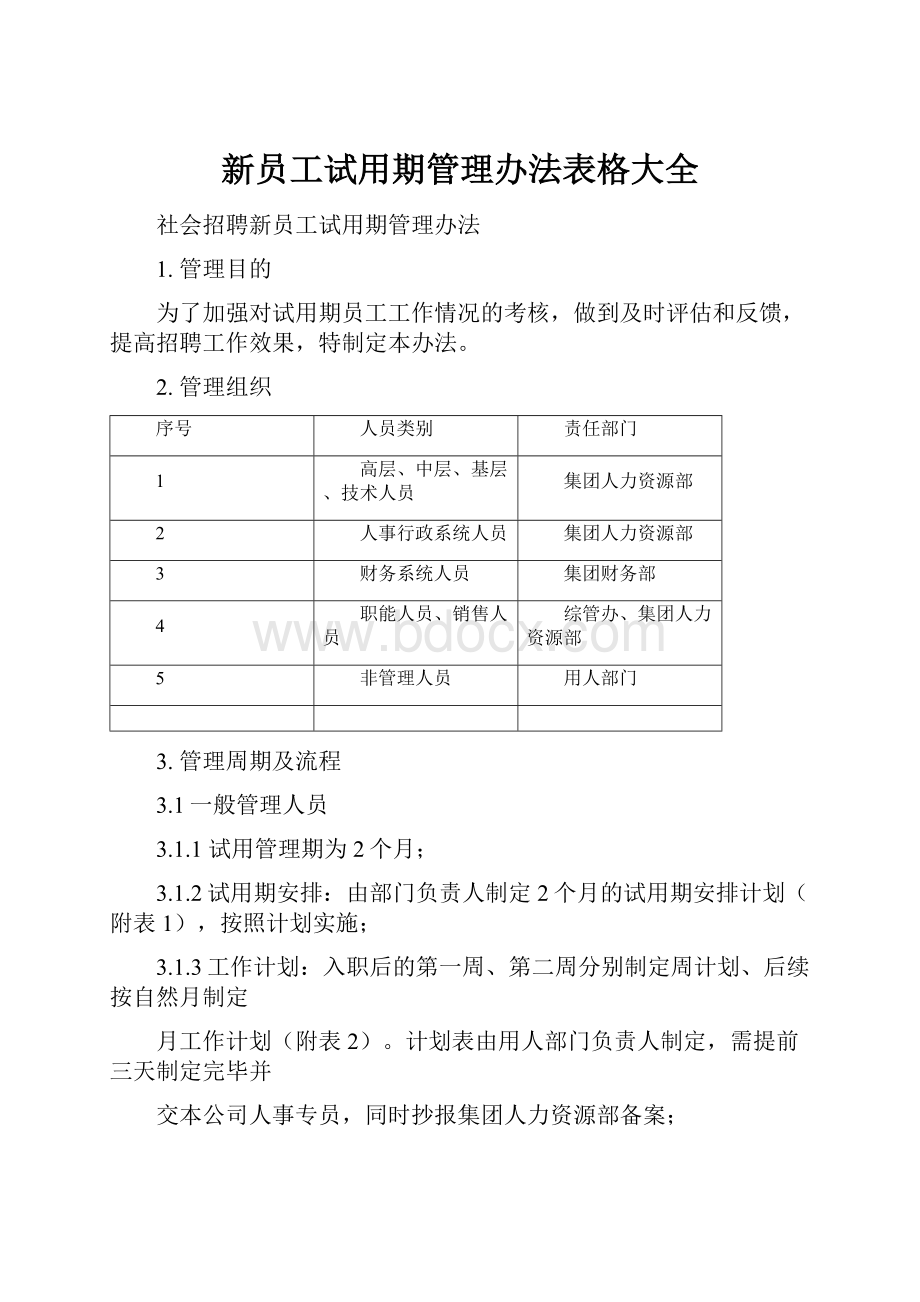 新员工试用期管理办法表格大全.docx