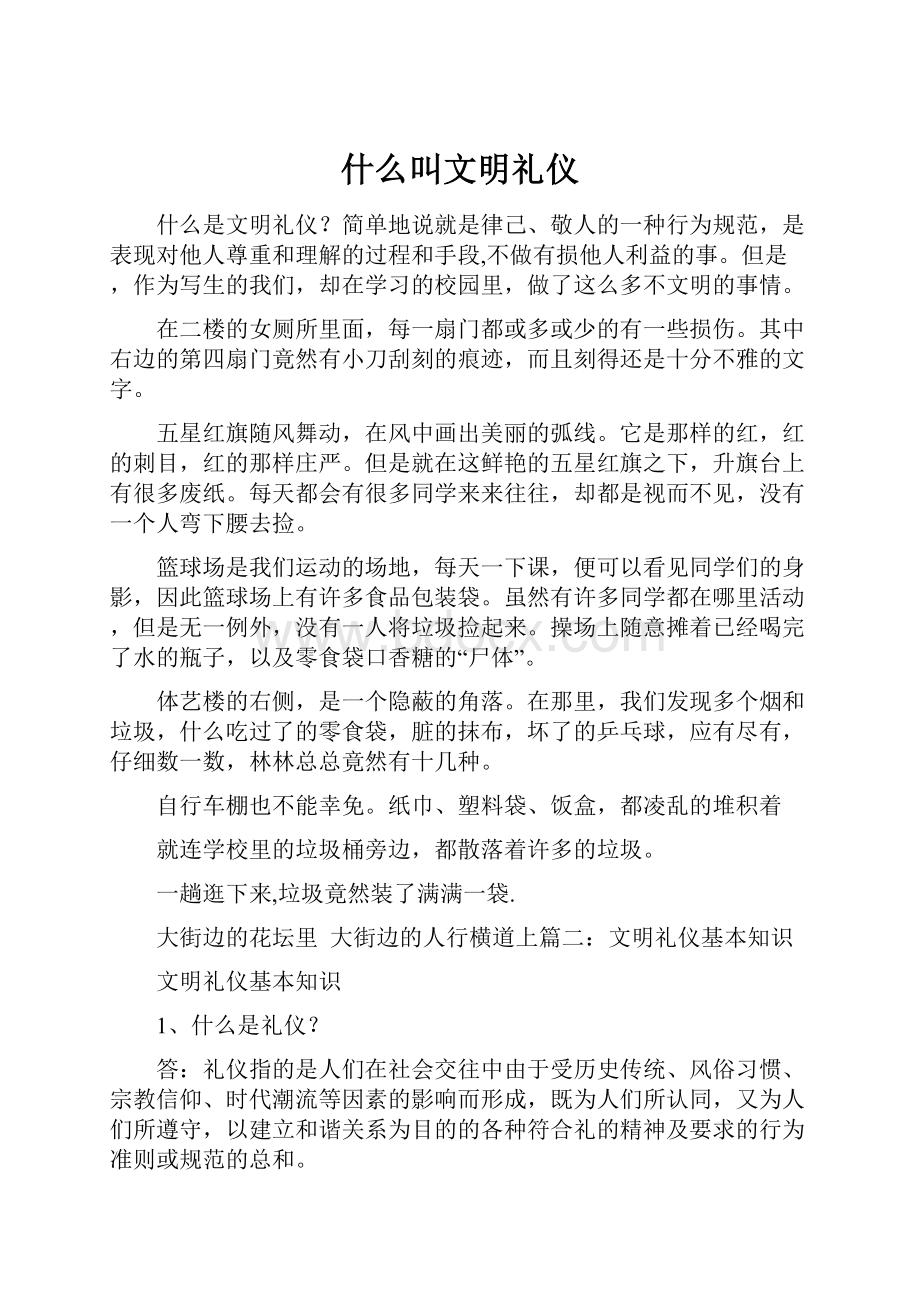 什么叫文明礼仪.docx