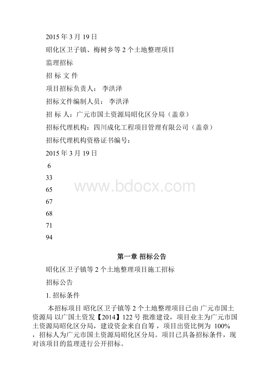 土地项目施工标准招标文件.docx_第2页