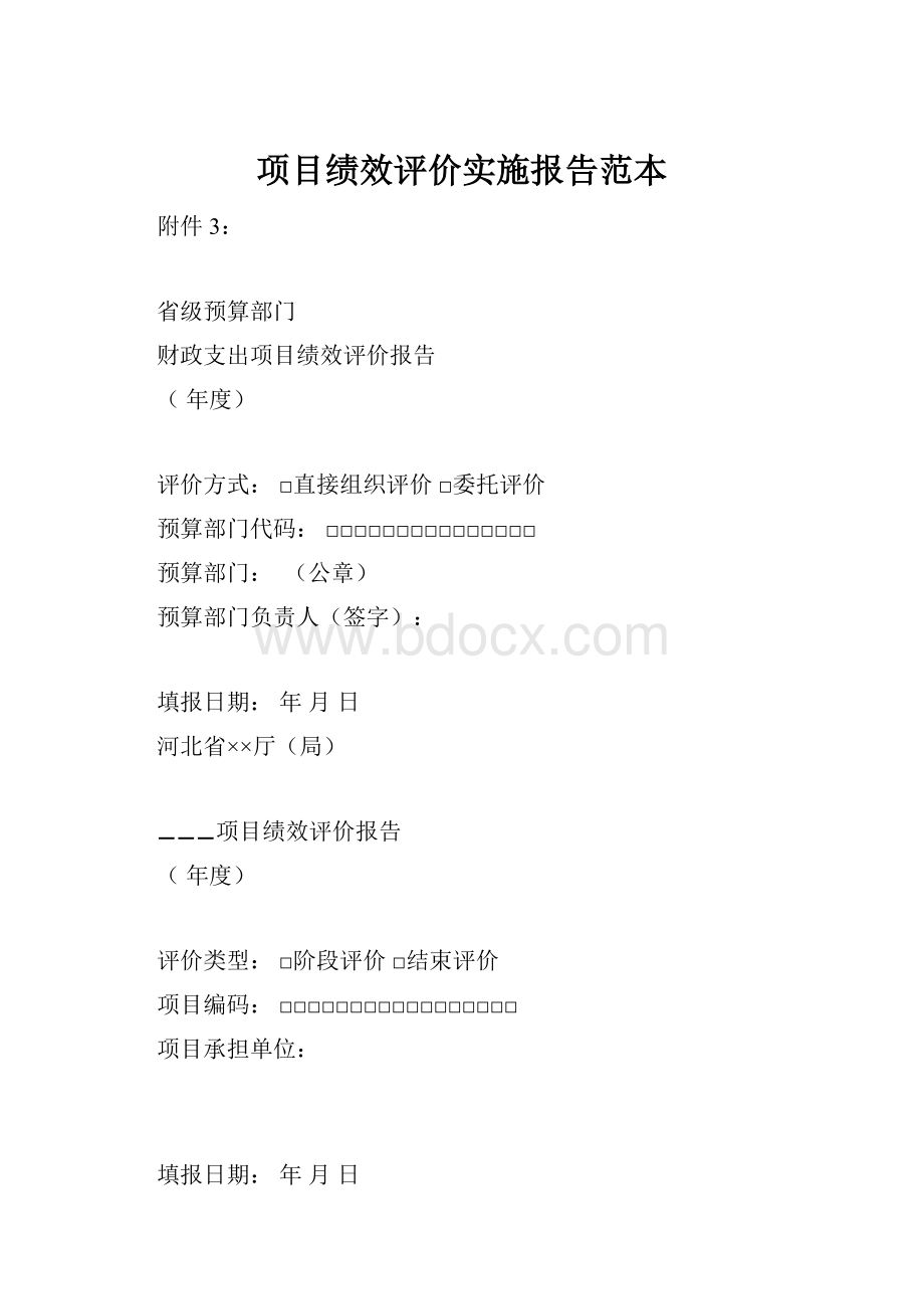 项目绩效评价实施报告范本.docx_第1页