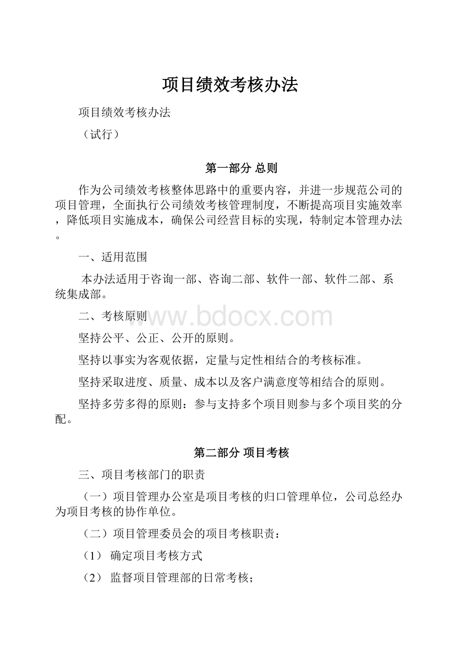 项目绩效考核办法.docx