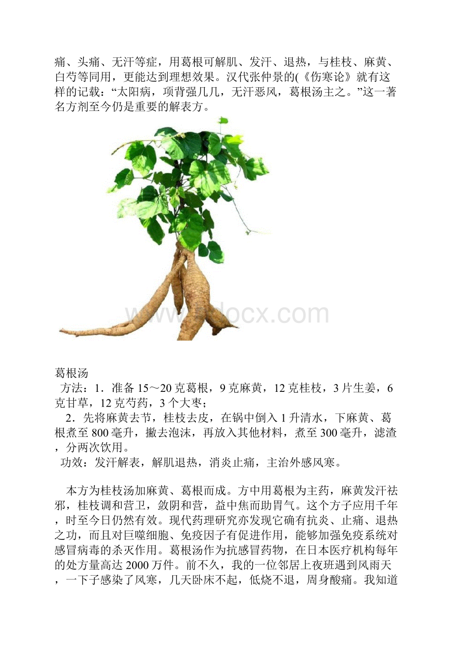 葛根地功效与作用及食用方法.docx_第2页