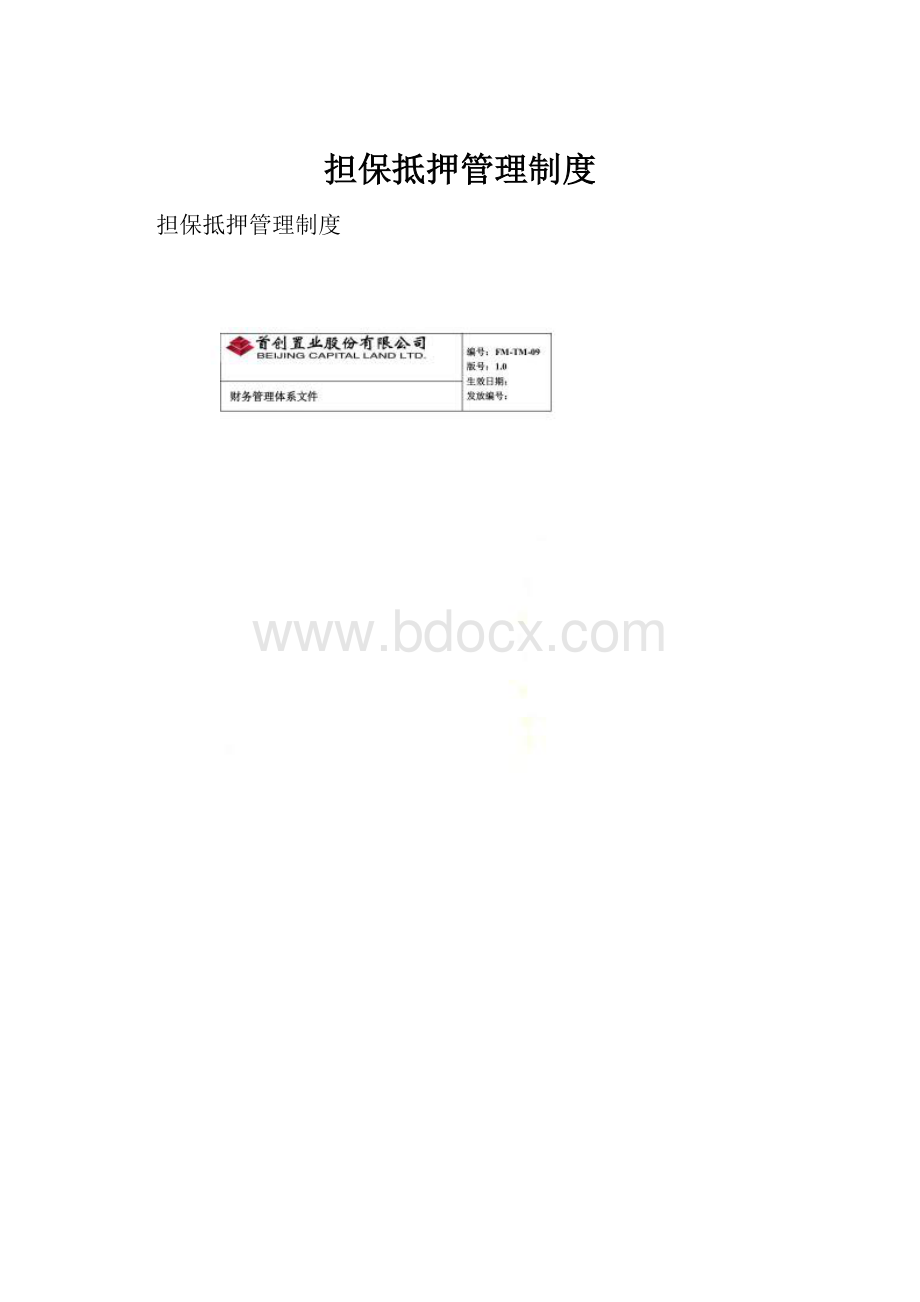 担保抵押管理制度.docx