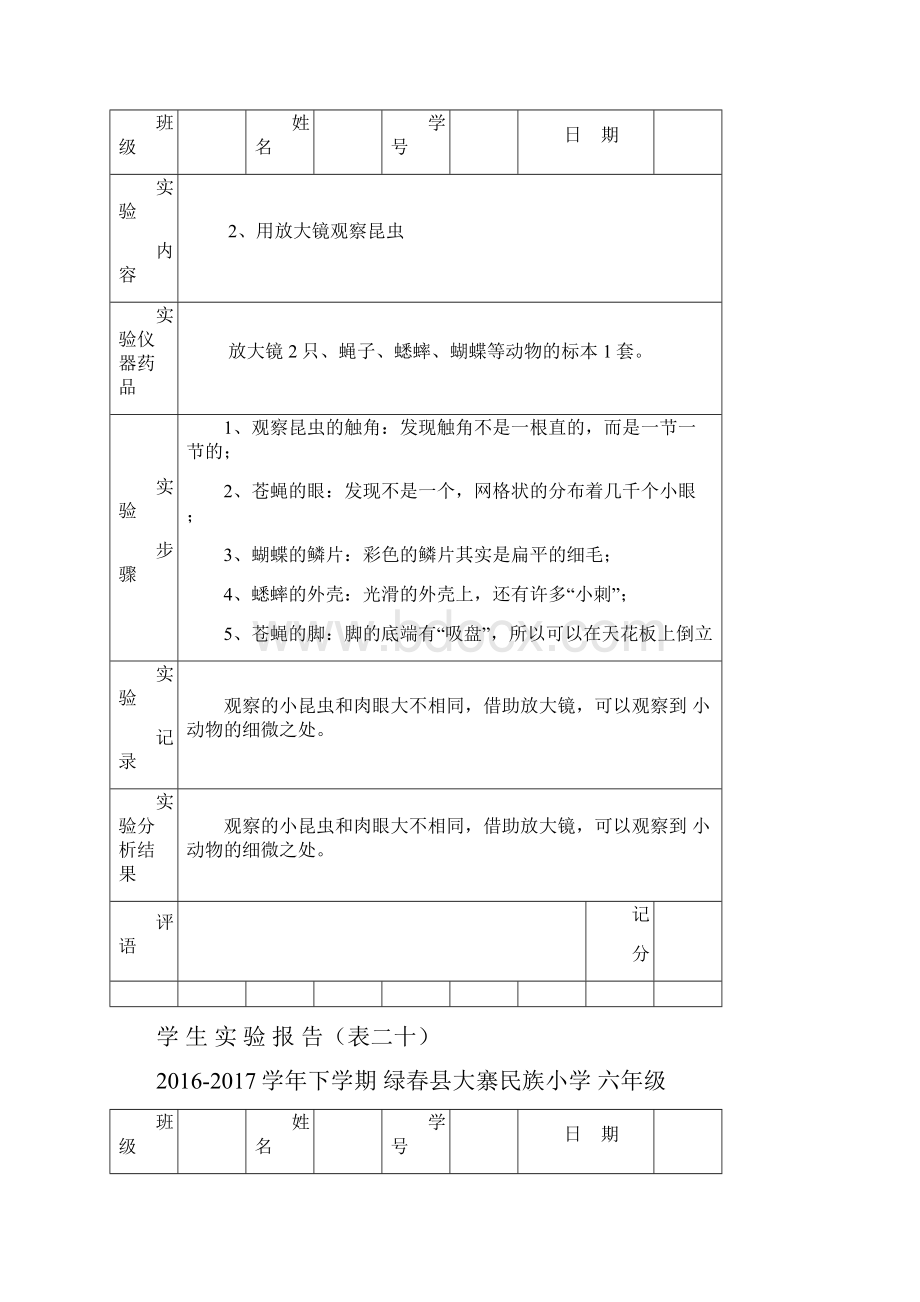 学生实验报告六年级下册.docx_第2页