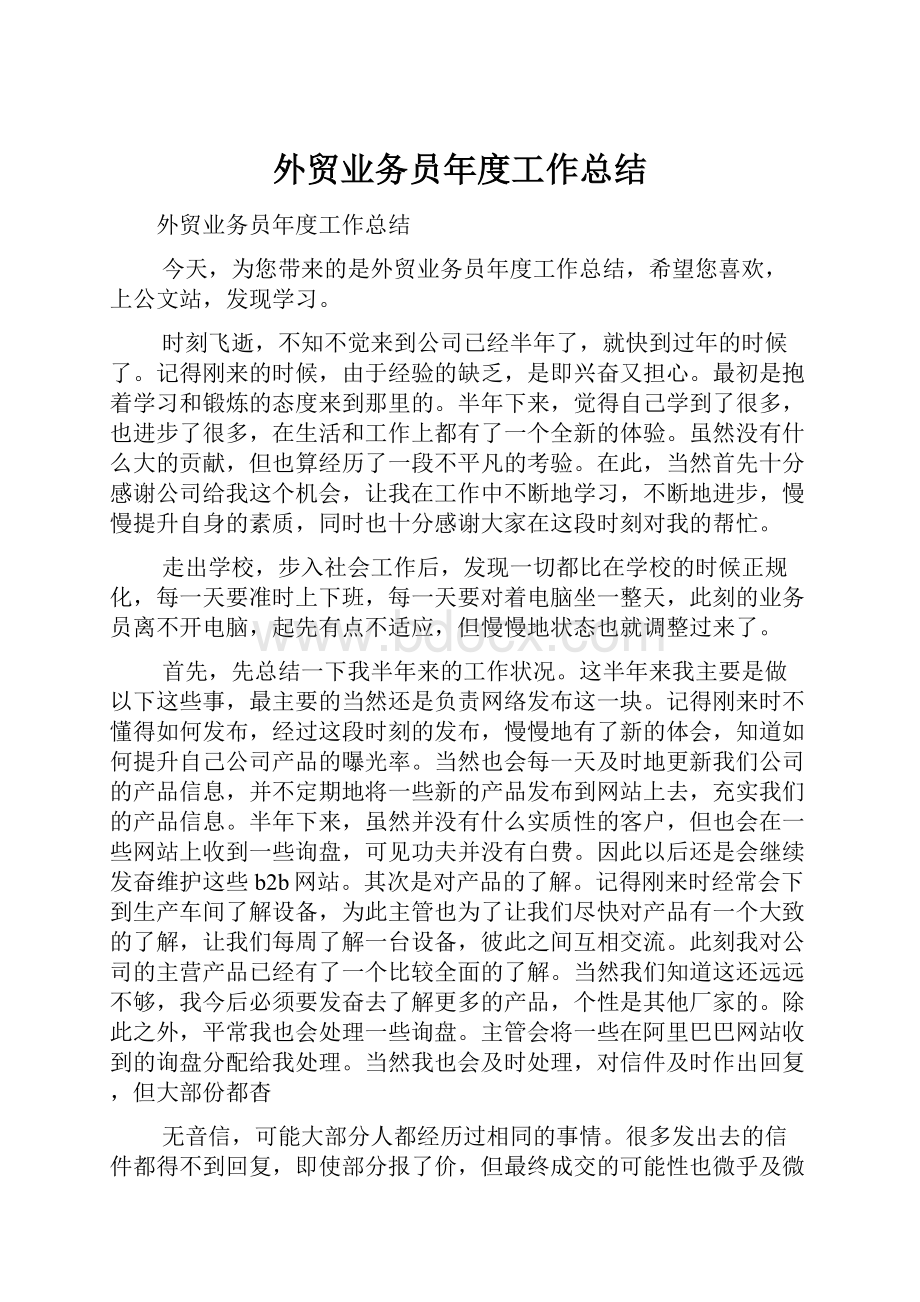 外贸业务员年度工作总结.docx