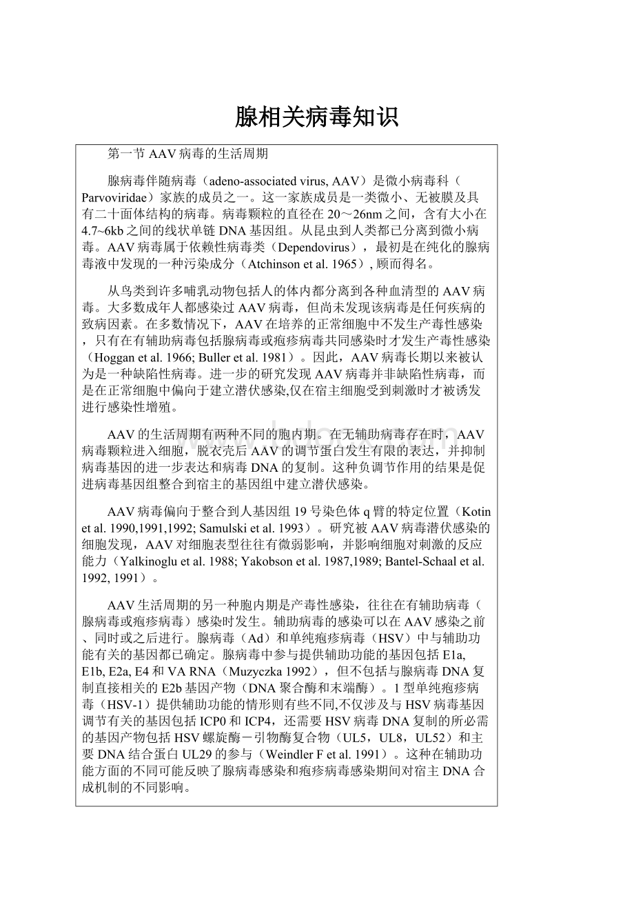 腺相关病毒知识.docx_第1页