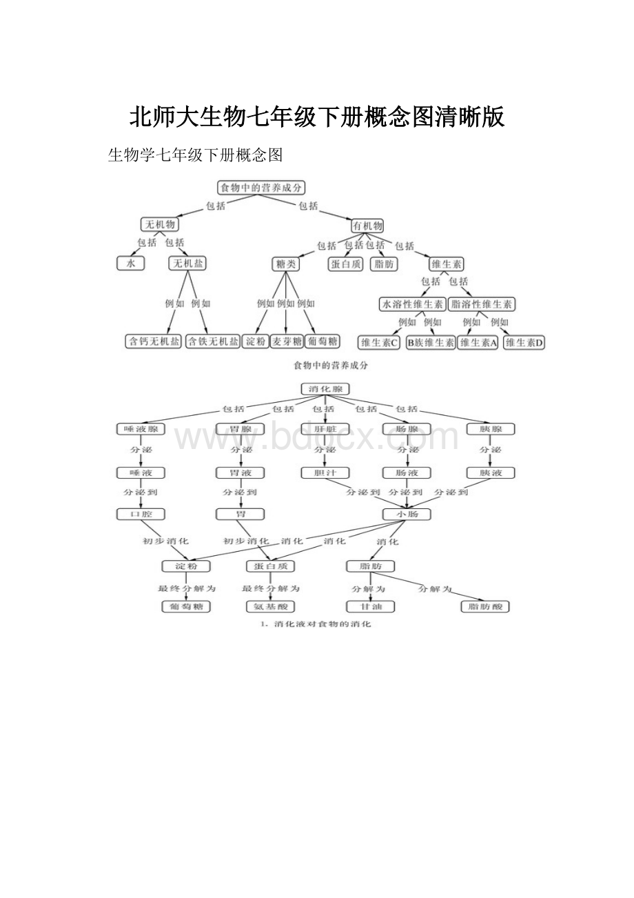 北师大生物七年级下册概念图清晰版.docx