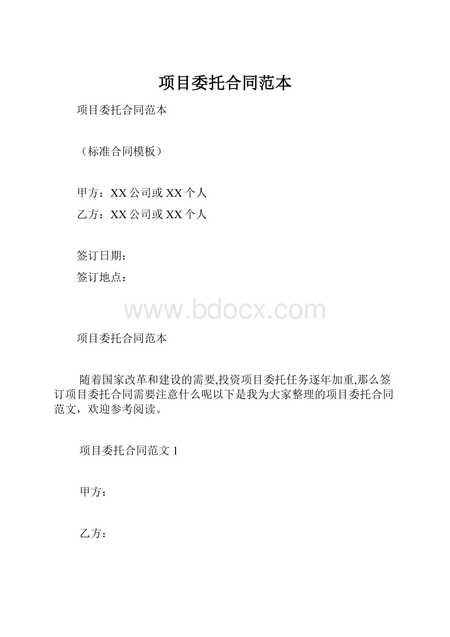 项目委托合同范本.docx