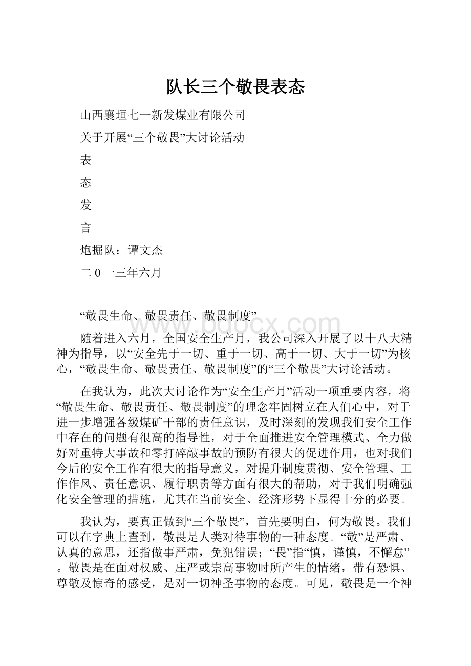 队长三个敬畏表态.docx_第1页