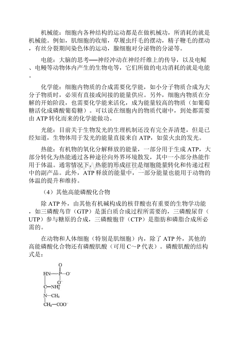 高中生物奥林匹克竞赛专题辅导细胞代谢基础.docx_第3页