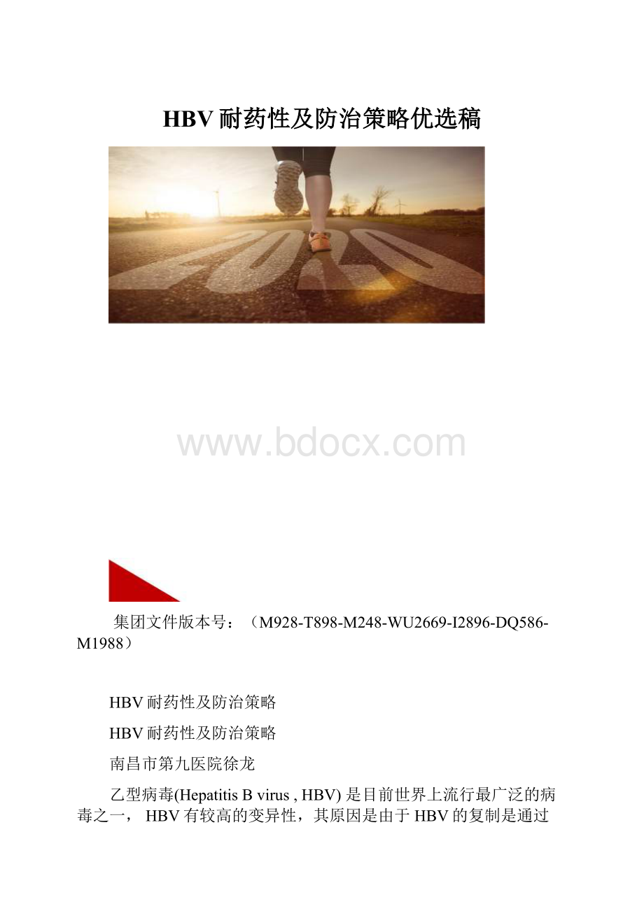 HBV耐药性及防治策略优选稿.docx