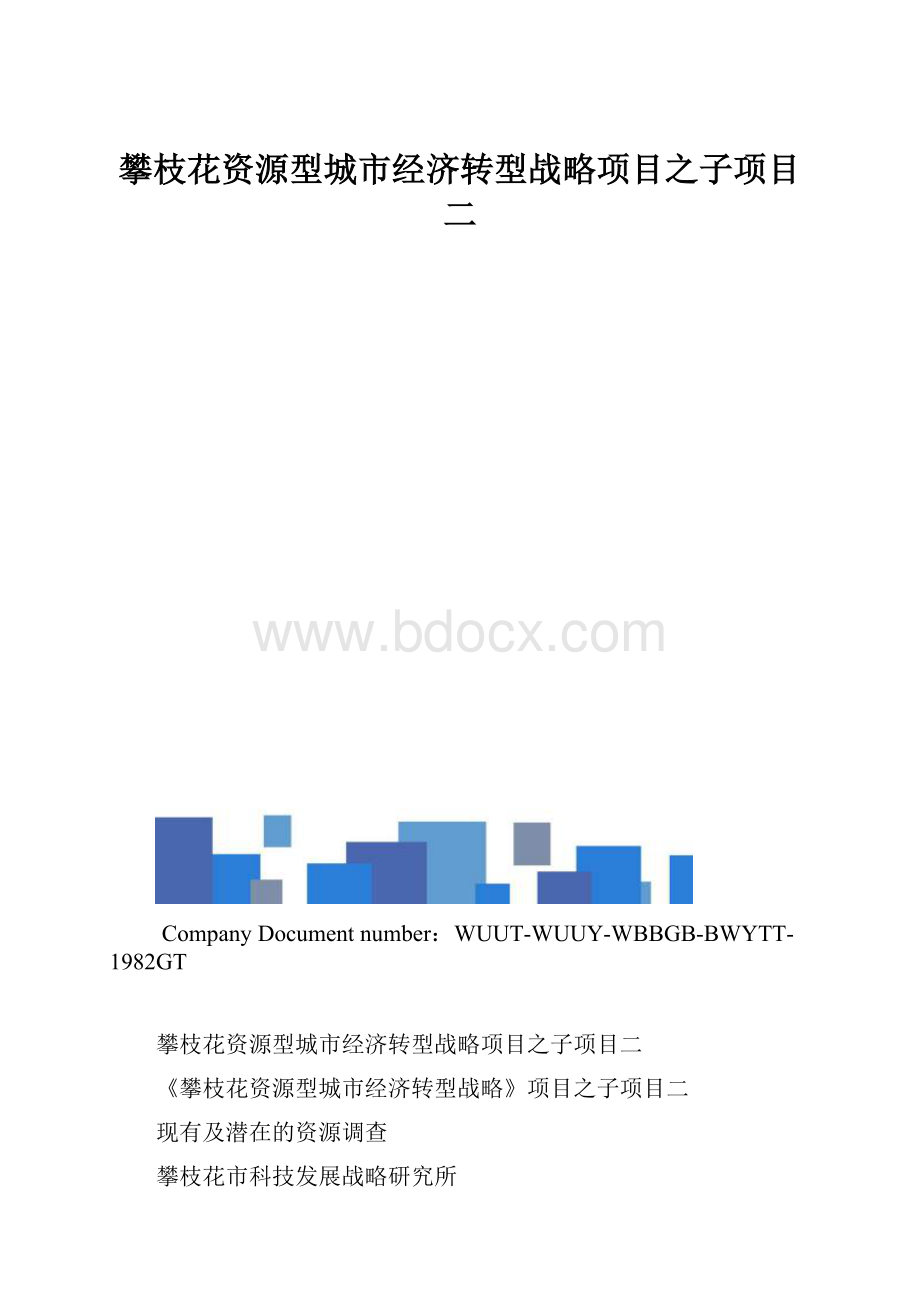 攀枝花资源型城市经济转型战略项目之子项目二.docx