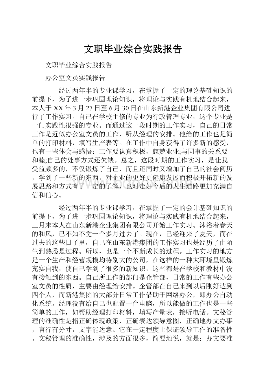 文职毕业综合实践报告.docx_第1页