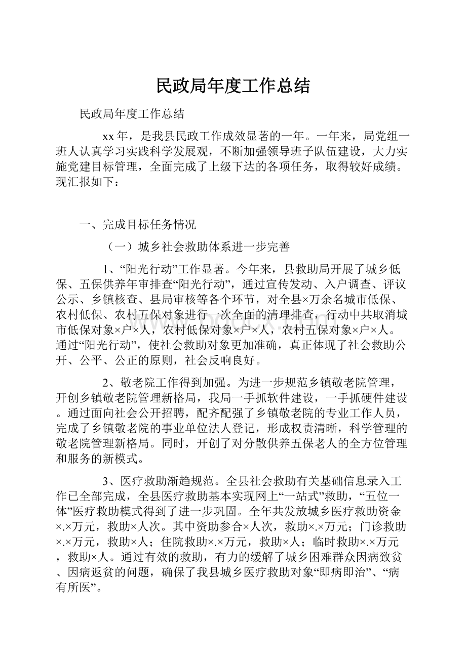 民政局年度工作总结.docx