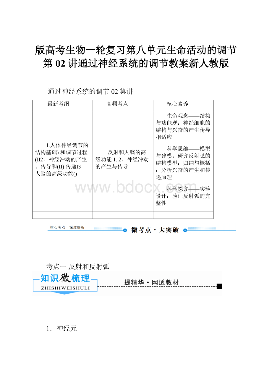 版高考生物一轮复习第八单元生命活动的调节第02讲通过神经系统的调节教案新人教版.docx_第1页