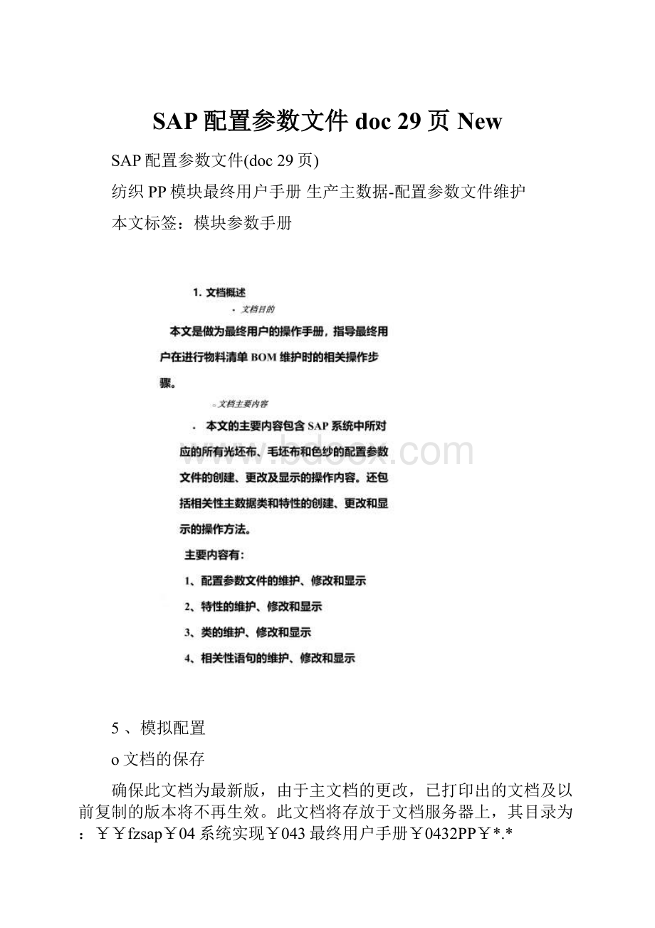 SAP配置参数文件doc 29页New.docx_第1页