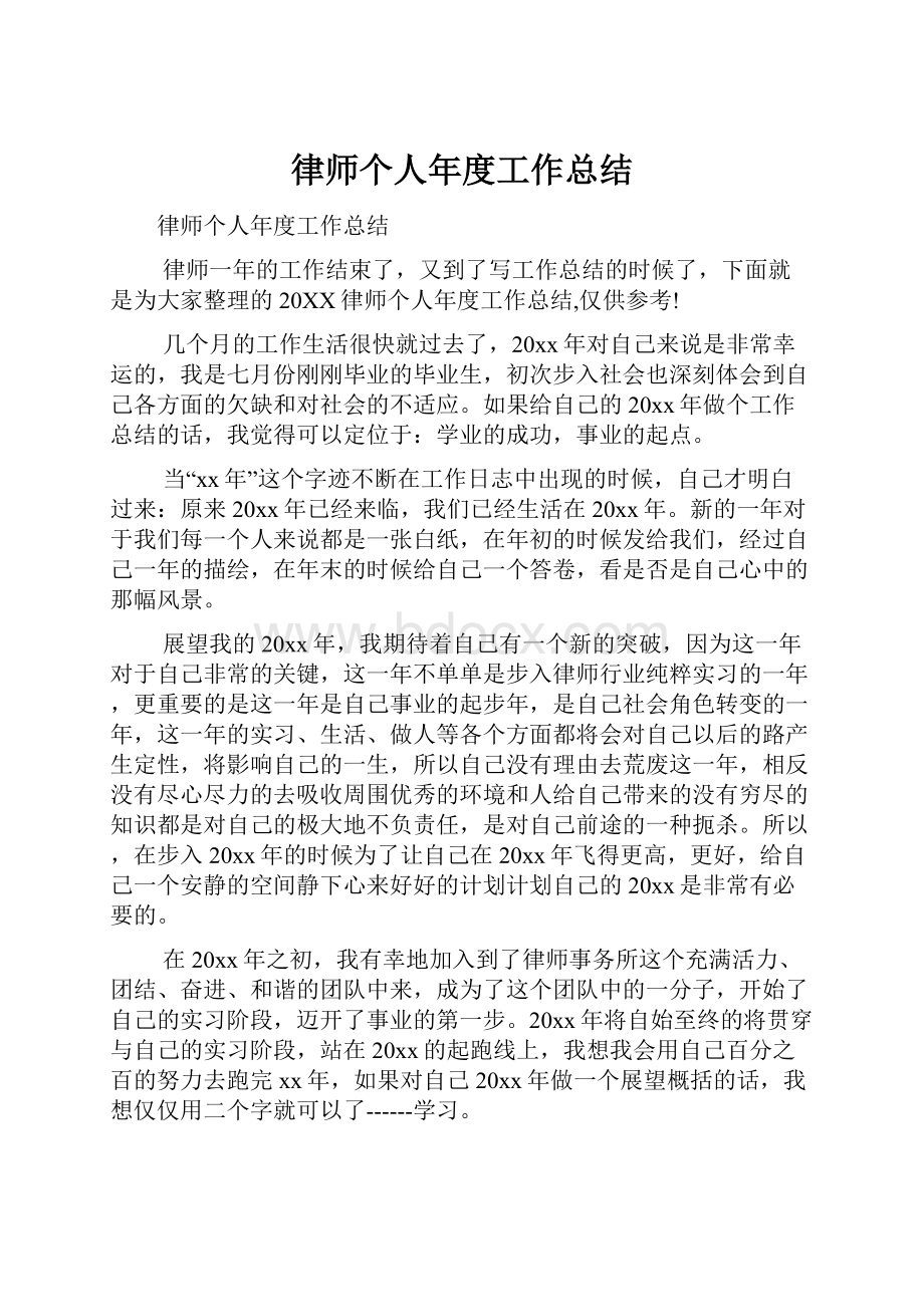 律师个人年度工作总结.docx