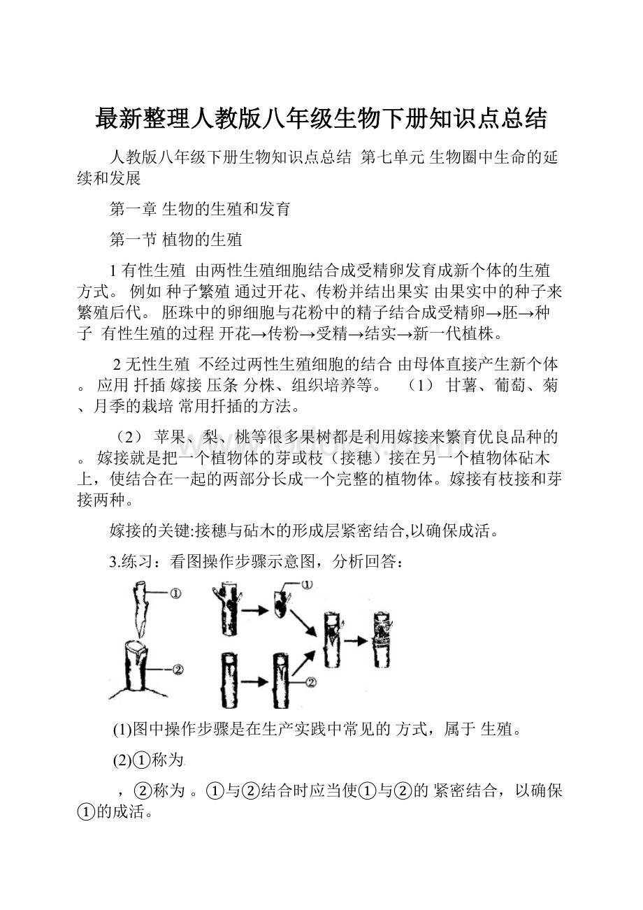 最新整理人教版八年级生物下册知识点总结.docx