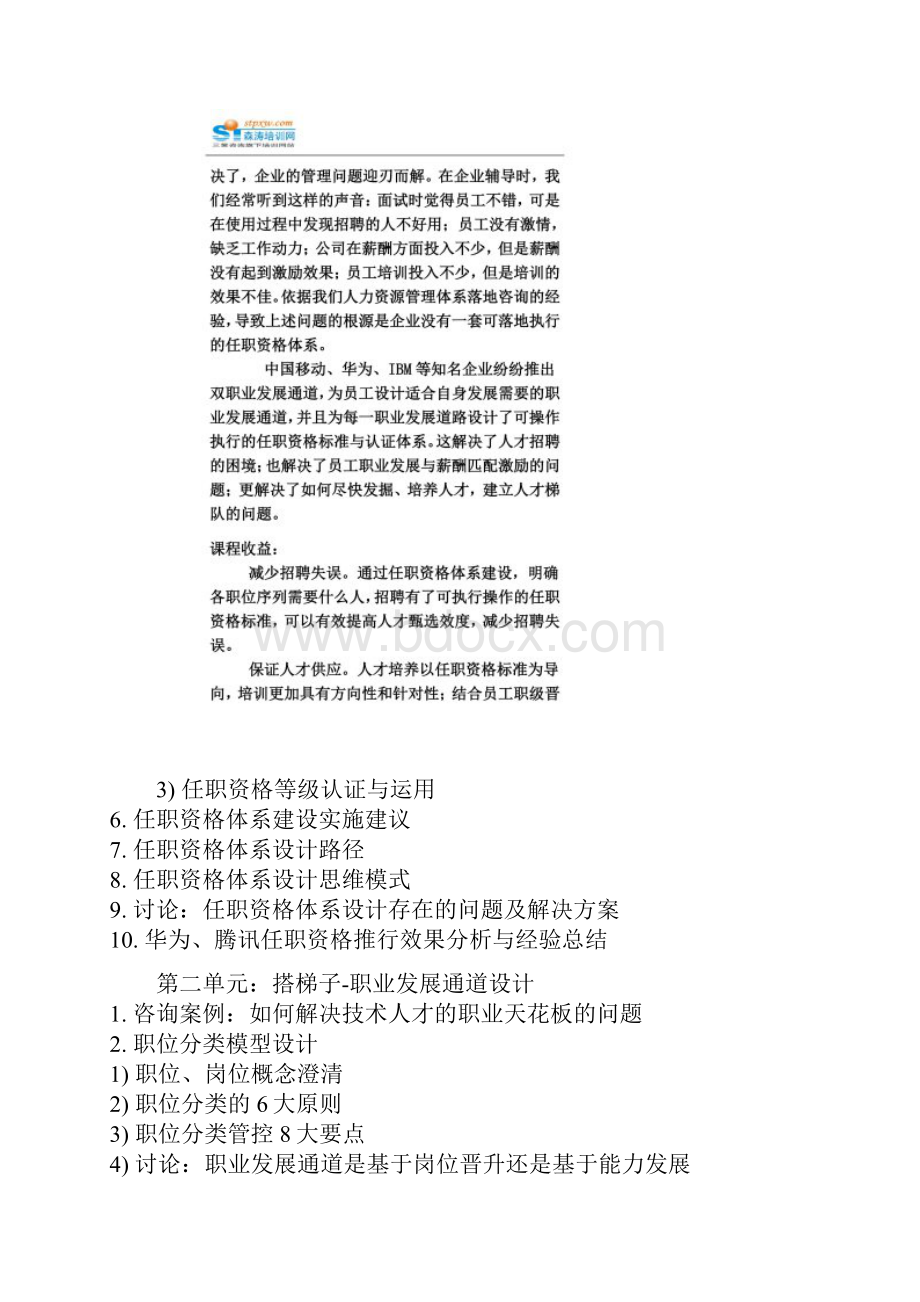 任职资格体系建设与落地.docx_第3页