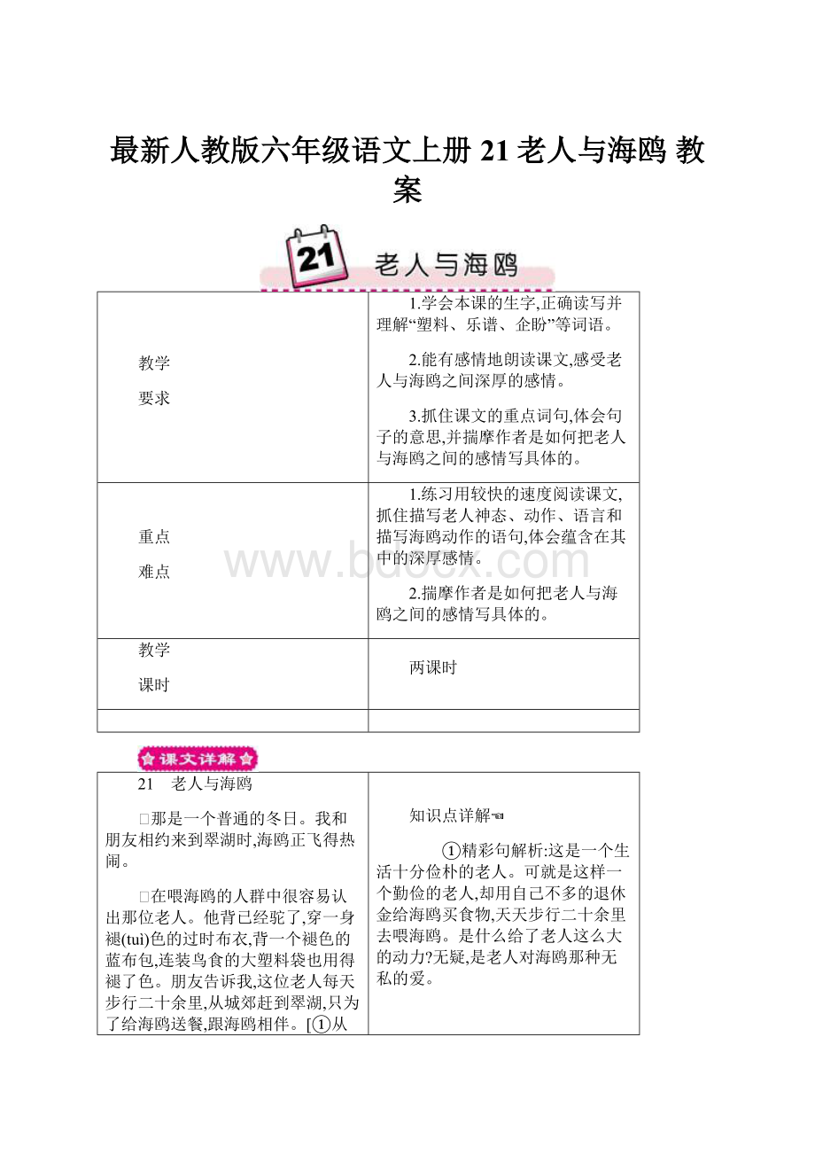 最新人教版六年级语文上册 21老人与海鸥 教案.docx