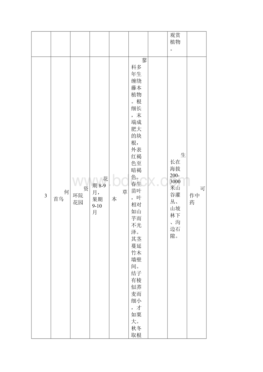 园林绿地户外植物名称种类等认知实习.docx_第3页