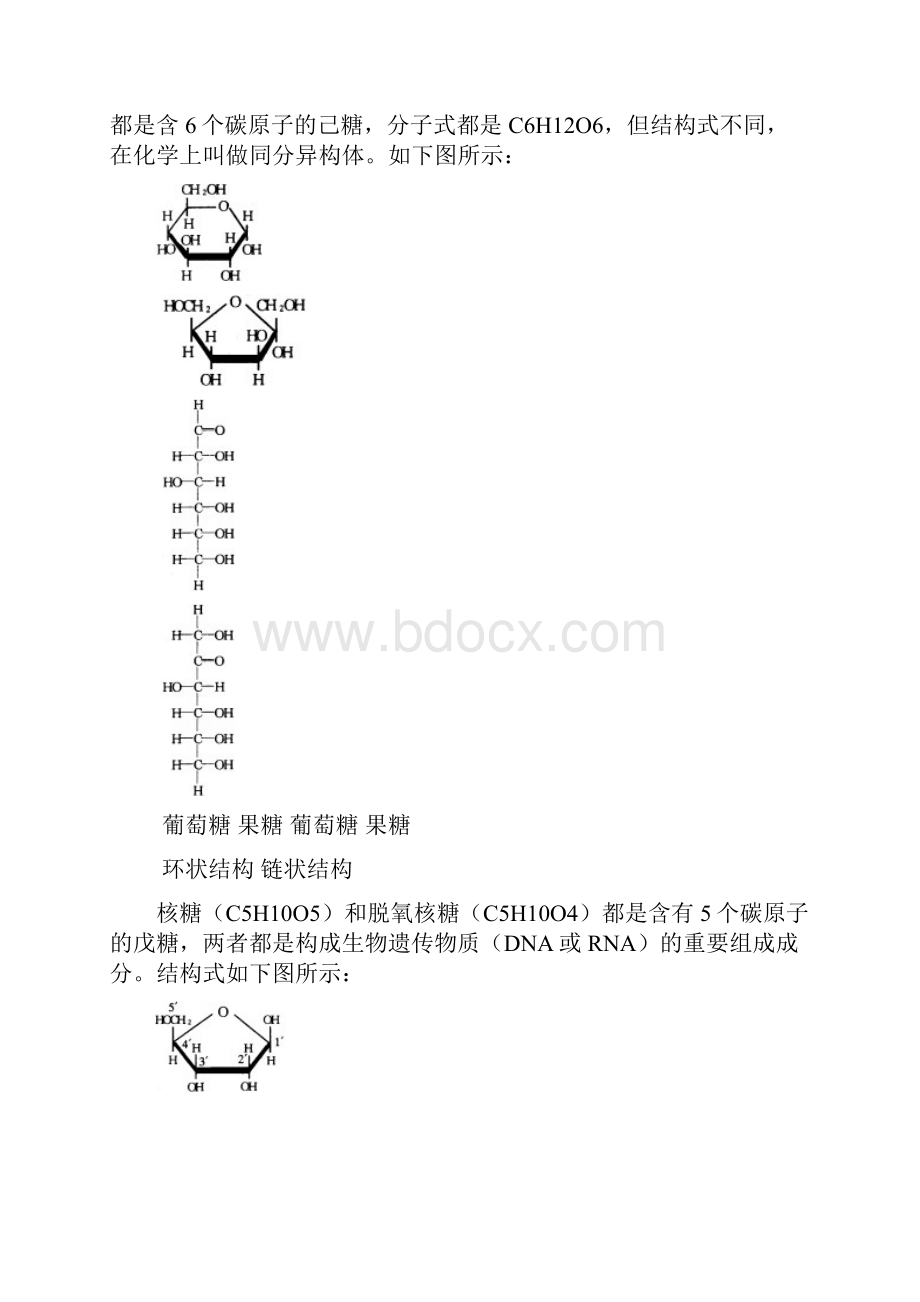 生物竞赛知识点.docx_第2页