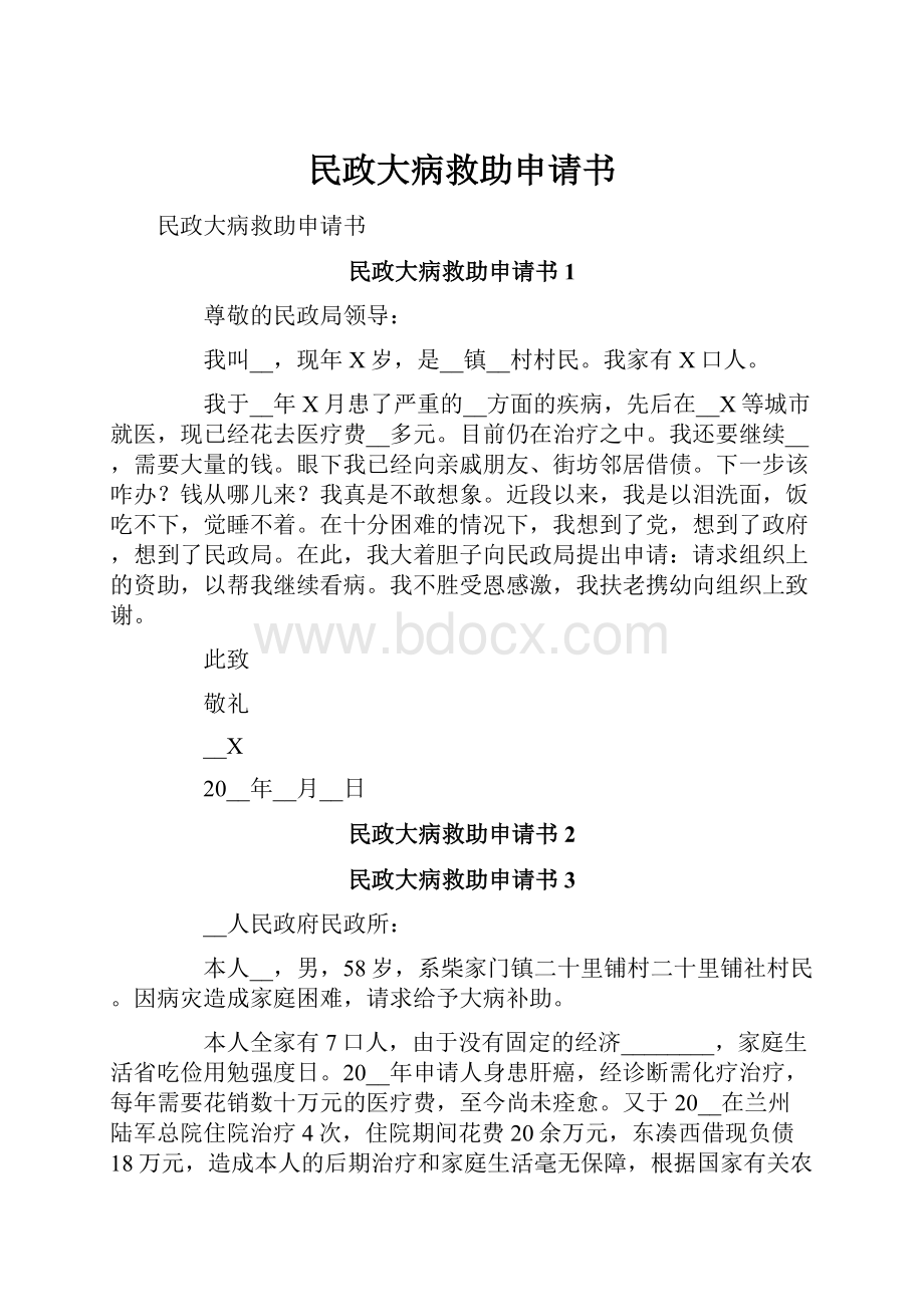 民政大病救助申请书.docx