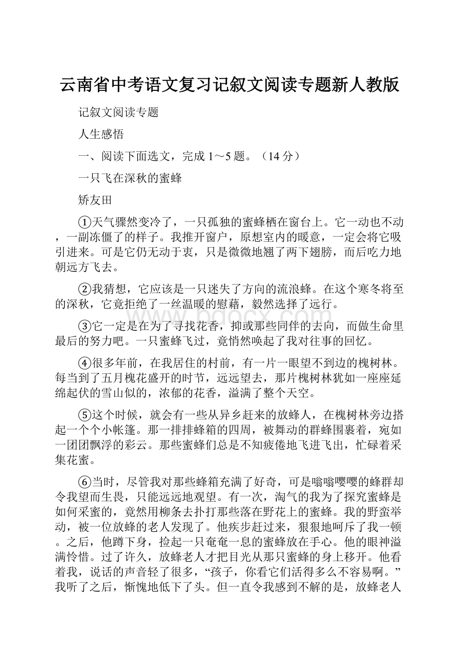 云南省中考语文复习记叙文阅读专题新人教版.docx