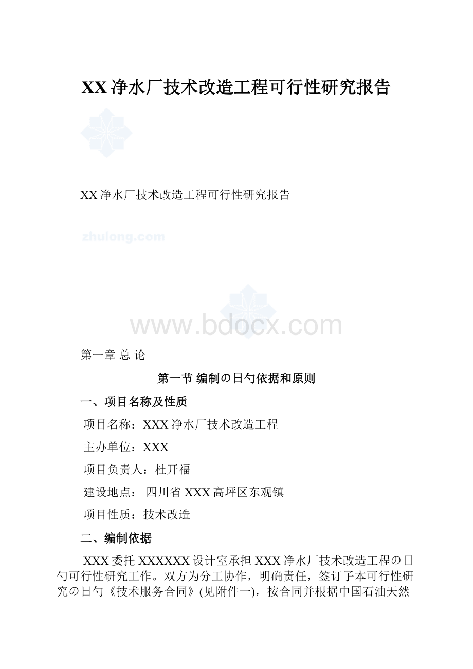 XX净水厂技术改造工程可行性研究报告.docx