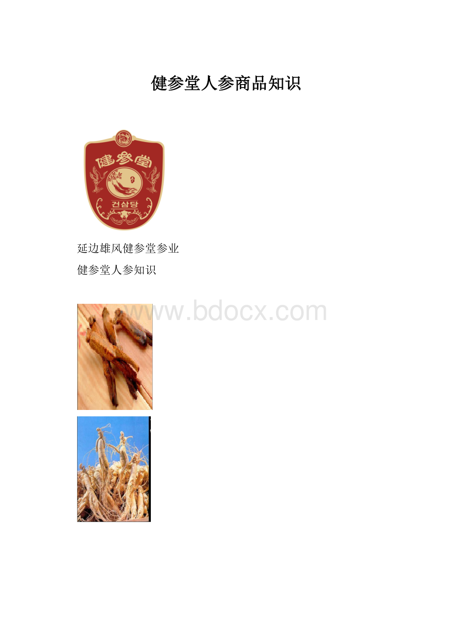 健参堂人参商品知识.docx